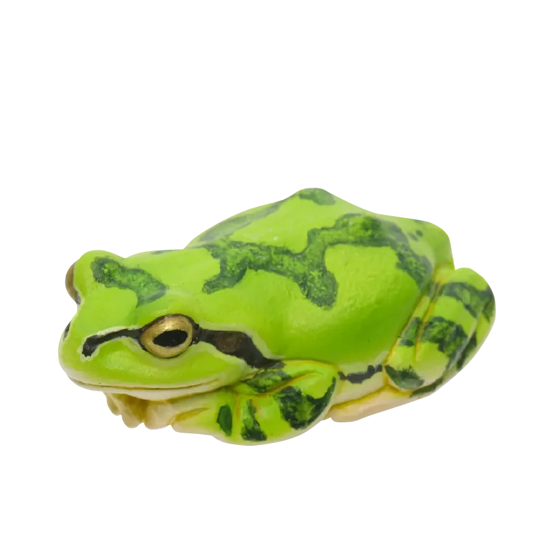 アマガエル マグネット&ボールチェーン ラインナップ 3