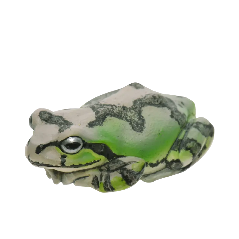 アマガエル マグネット&ボールチェーン ラインナップ 4