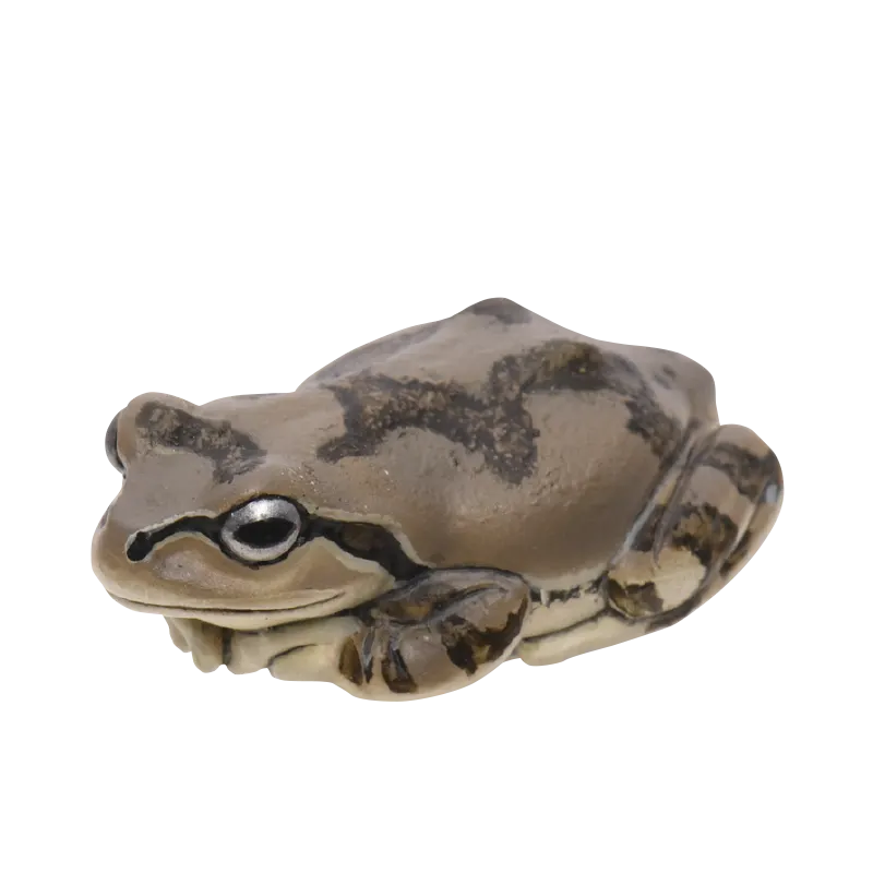 アマガエル マグネット&ボールチェーン ラインナップ 5