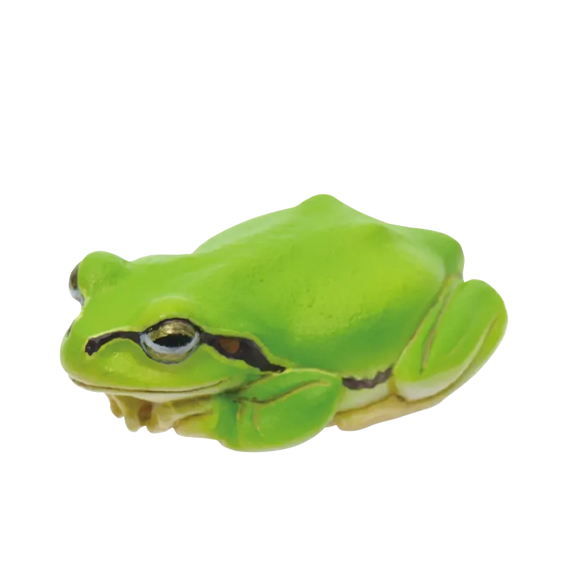 アマガエル マグネット&ボールチェーン ラインナップ 7