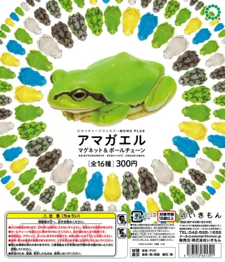 アマガエル マグネット＆ボールチェーンの画像