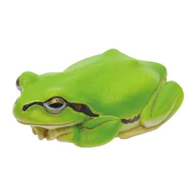 アマガエル マグネット×ストラップ アマガエル