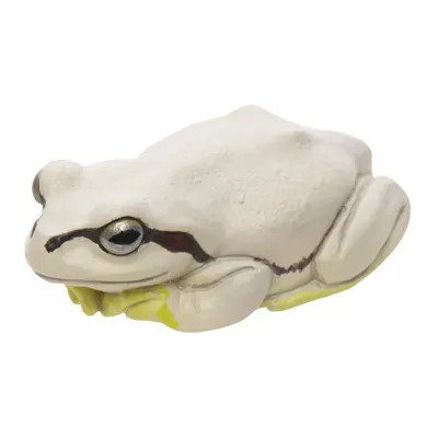 アマガエル マグネット×ストラップ アマガエル