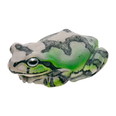 アマガエル マグネット×ストラップ アマガエル
