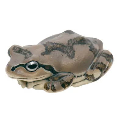 アマガエル マグネット×ストラップ アマガエル
