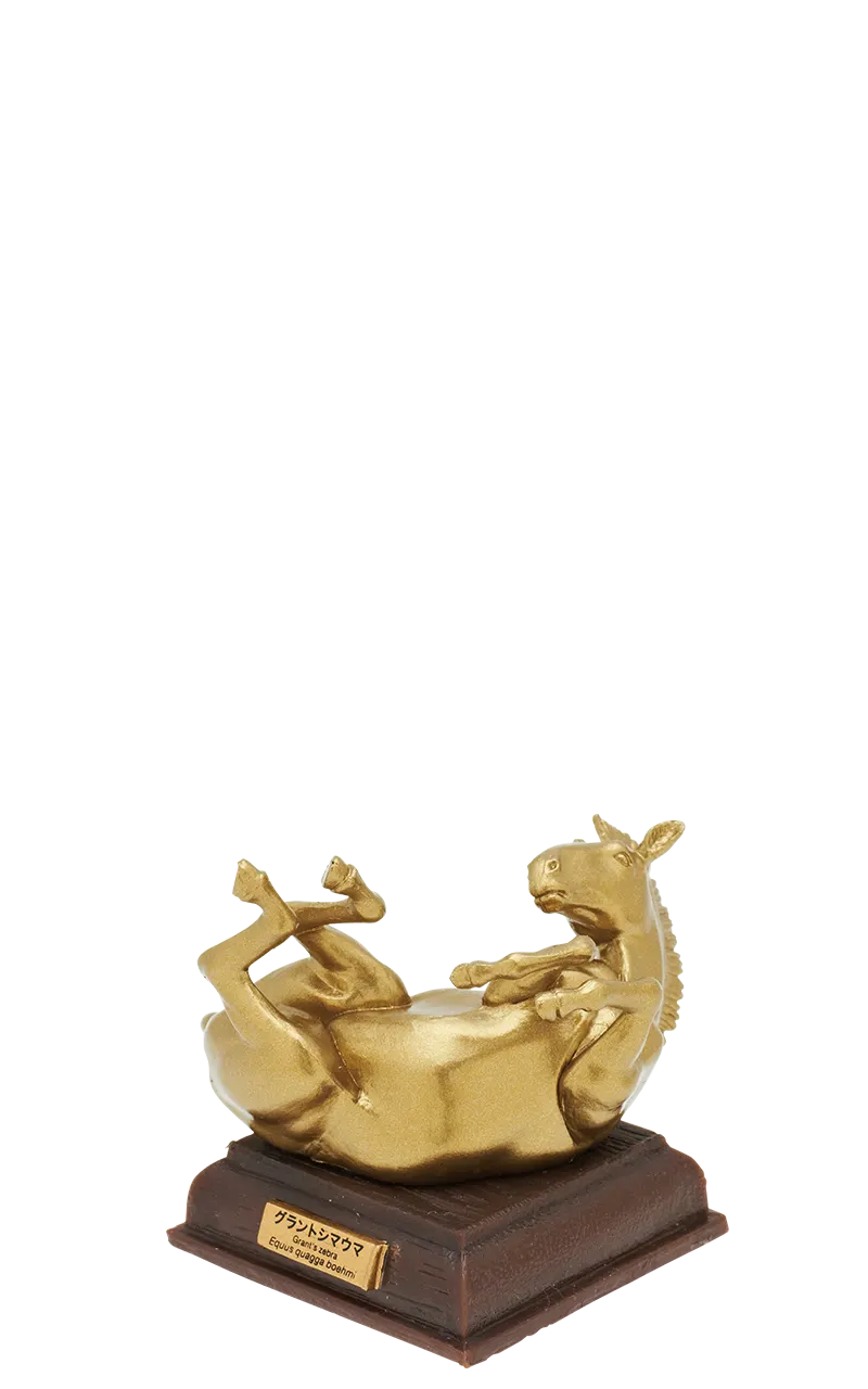 サバンナ 黄金版 ラインナップ 6