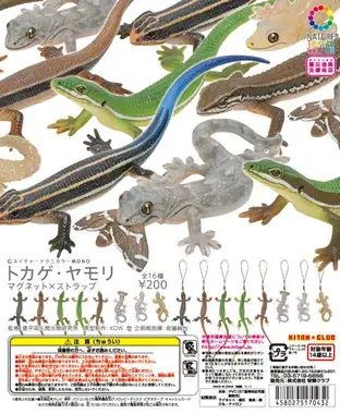トカゲ・ヤモリ マグネット×ストラップの画像