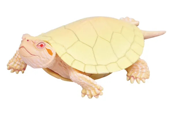 ミドリガメ マグネット×ストラップ ラインナップ 4