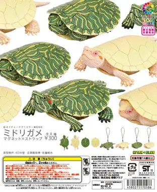 ミドリガメ マグネット×ストラップの画像