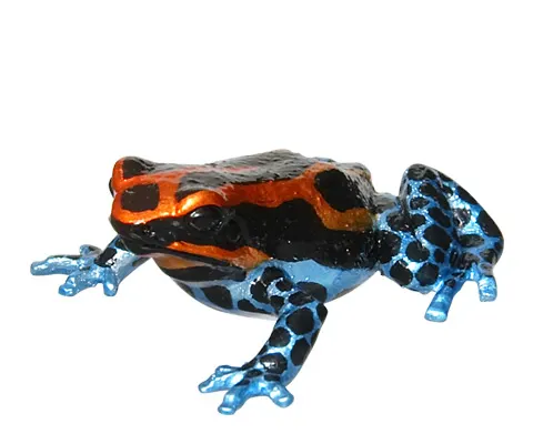 ヤドクガエル マグネット×ストラップ グラヌリフェラヌスヤドクガエル