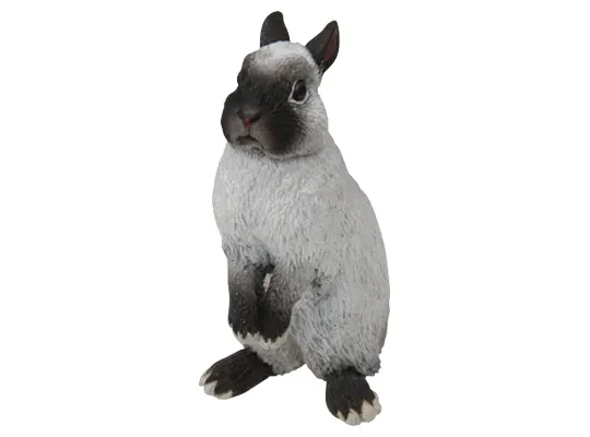 ウサギ マグネット×ストラップ ネザーランドドワーフ