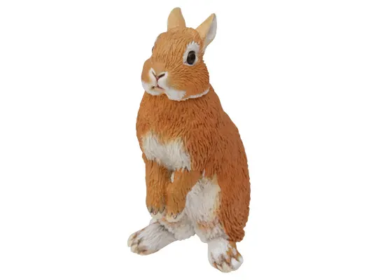 ウサギ マグネット×ストラップ ネザーランドドワーフ