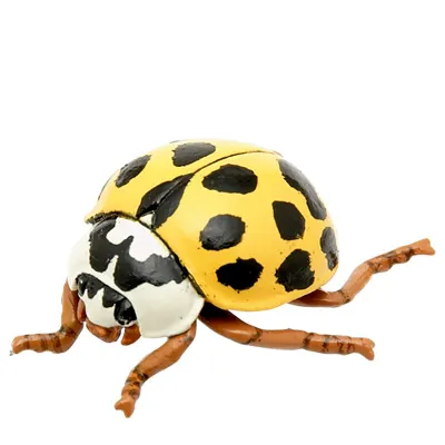 テントウムシ マグネット×ストラップ ナミテントウ