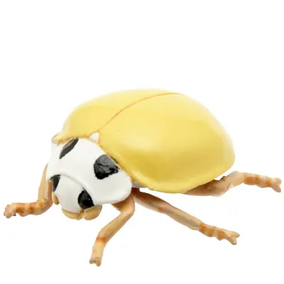 テントウムシ マグネット×ストラップ ウンモンテントウ
