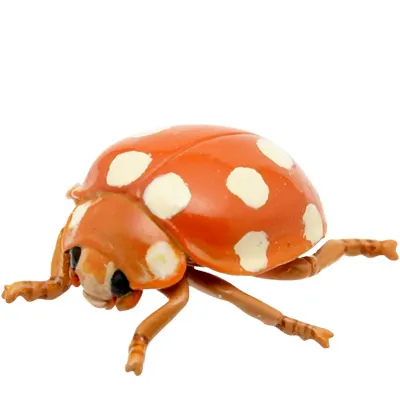 テントウムシ マグネット×ストラップ キイロテントウ