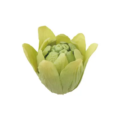 山菜 ソフトストラップ キイチゴ