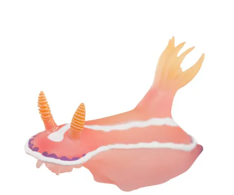 ウミウシ マグネット×ストラップ アオウミウシ