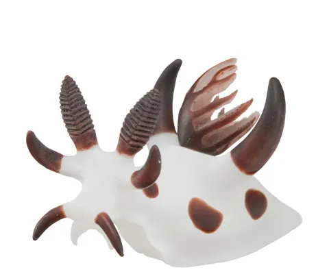 ウミウシ マグネット×ストラップ ゾウゲイロウミウシ