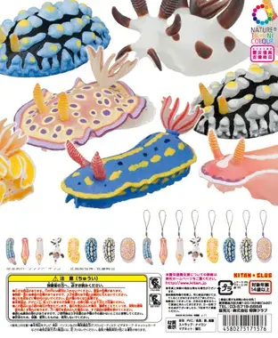 ウミウシ マグネット×ストラップの画像