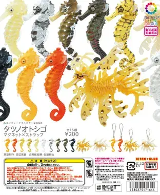 タツノオトシゴ マグネット×ストラップの画像