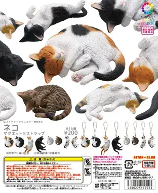 ネコ マグネット×ストラップの画像