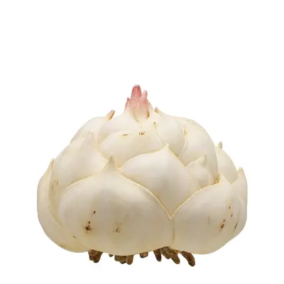 山菜 ソフトストラップ2 コケモモ