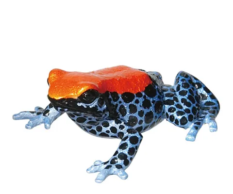 ヤドクガエル マグネット×ストラップ2 モウドクフキヤガエル