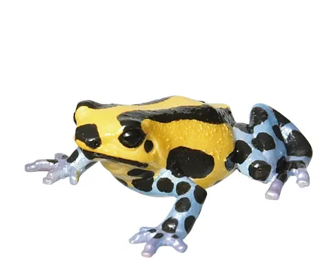 ヤドクガエル マグネット×ストラップ2 ミステリオサスヤドクガエル