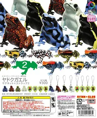 ヤドクガエル マグネット×ストラップ2の画像