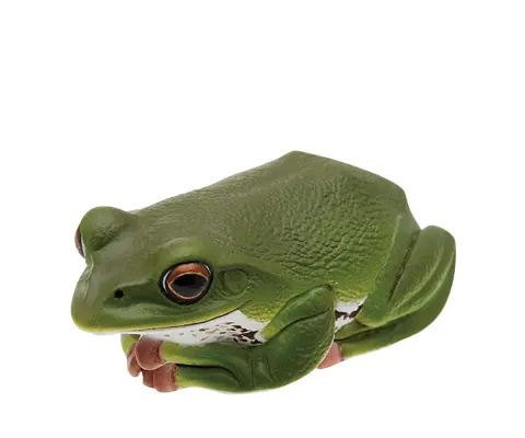 川内村のモリアオガエル マグネット×ストラップ モリアオガエル