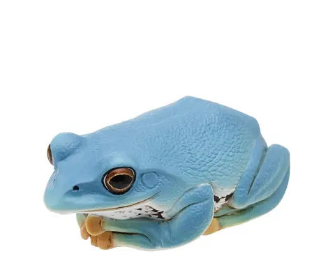 川内村のモリアオガエル マグネット×ストラップ モリアオガエル