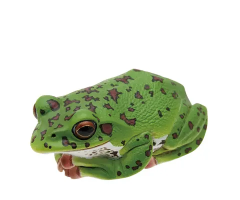 川内村のモリアオガエル マグネット×ストラップ モリアオガエル
