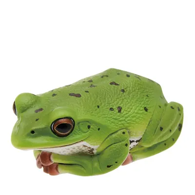 川内村のモリアオガエル マグネット×ストラップ モリアオガエル