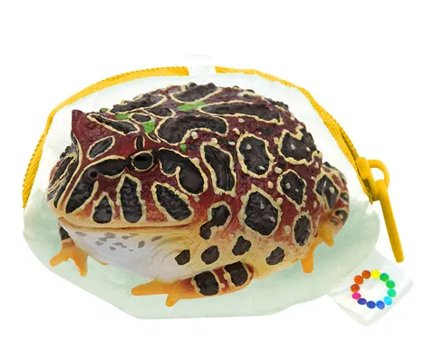 ツノガエル ミニポーチ ベルツノガエル