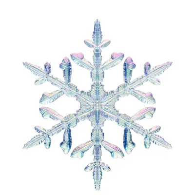 雪の結晶 チャームストラップ 星形樹枝Ⅱ