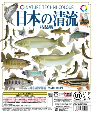 日本の清流 特装版 CLEAR STREAMS IN JAPANの画像