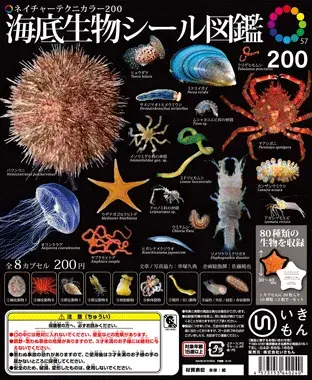 海底生物シール図鑑の画像