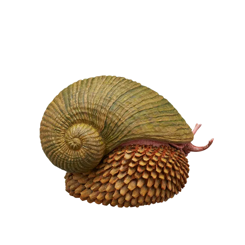深海生物マグネット＆ボールチェーン ラインナップ 8