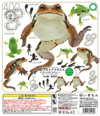 ヒキガエルとアマガエル ボールチェーン＆マグネットの画像