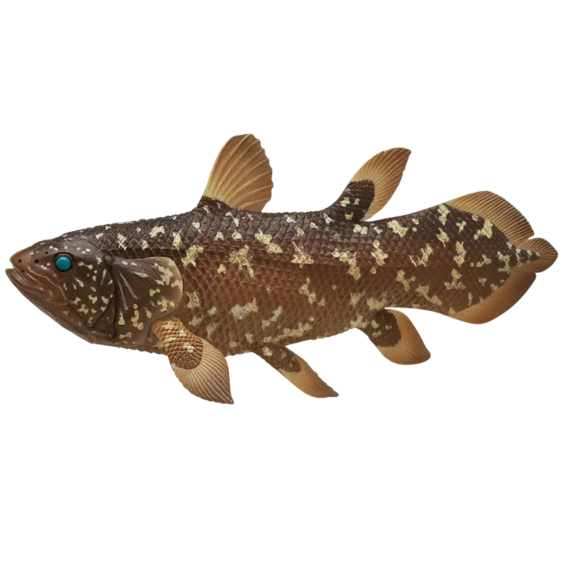深海生物 マグネット＆ボールチェーン2 ラインナップ 3