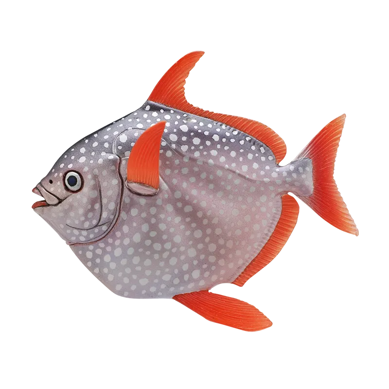 深海生物 マグネット＆ボールチェーン2 ラインナップ 5