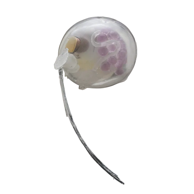 深海生物 マグネット＆ボールチェーン2 ラインナップ 7