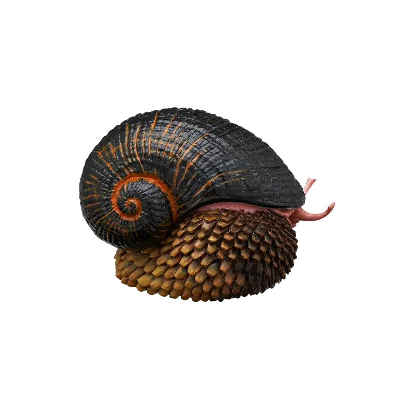 深海生物 マグネット＆ボールチェーン2 ラインナップ 8