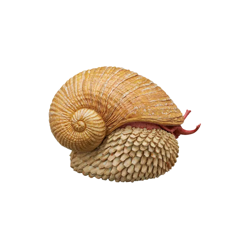 深海生物 マグネット＆ボールチェーン2 ラインナップ 9
