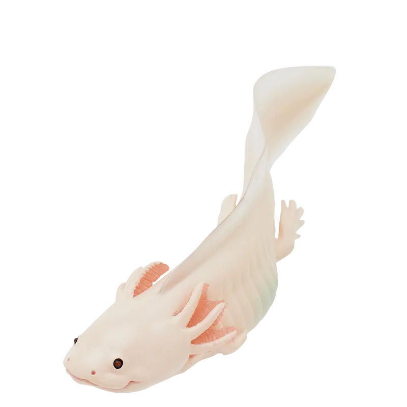 ウーパールーパーとベルツノガエルと アカメアマガエルとマルメタピオカガエル ボールチェーン&マグネット ラインナップ 2