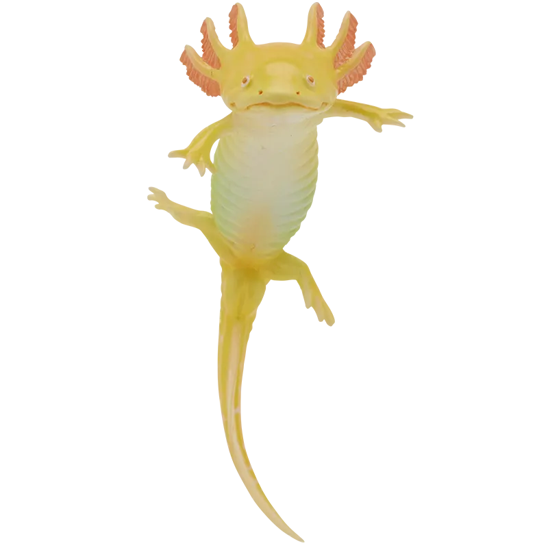 ウーパールーパーとベルツノガエルと アカメアマガエルとマルメタピオカガエル ボールチェーン&マグネット ラインナップ 9