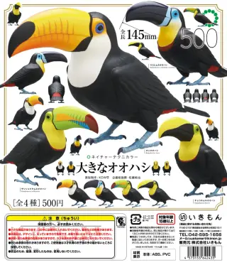 NTC 大きなオオハシの画像