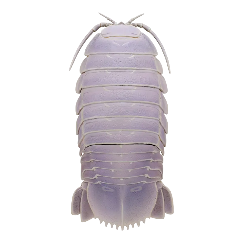 深海生物ボールチェーン The BEST ラインナップ 6