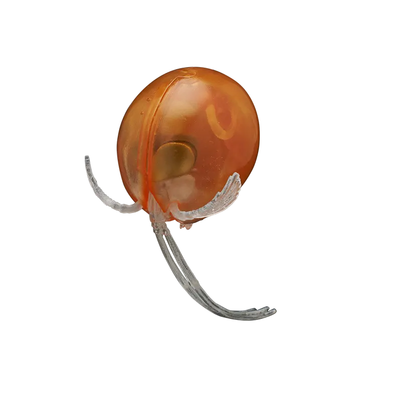 深海生物ボールチェーン The BEST ラインナップ 9