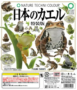NTC 日本のカエル 特装版の画像
